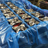 VCI Bags for Metal Anti-corrosion Packaging